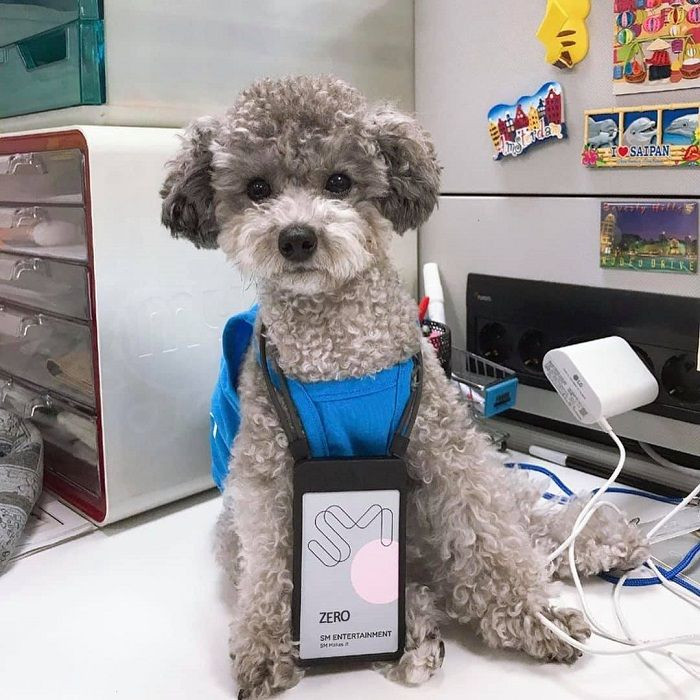 “Sen” vướng tin hẹn hò, cớ sao “boss” nhà Taeyeon bị gọi tên khắp mọi miền page? ảnh 3