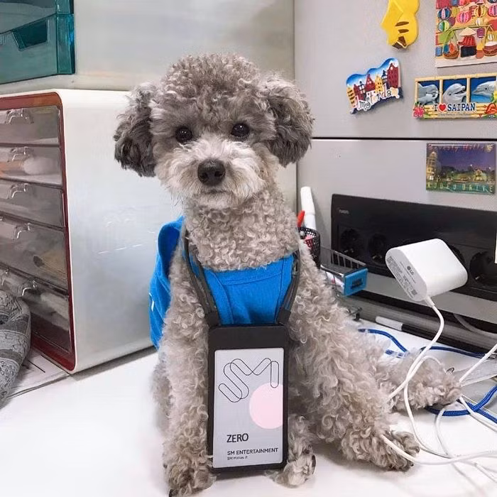 “Sen” vướng tin hẹn hò, cớ sao “boss” nhà Taeyeon bị gọi tên khắp mọi miền page? ảnh 3
