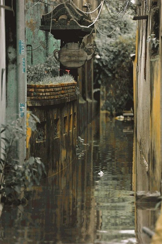 Những câu chuyện đáng yêu đằng sau bộ ảnh “Venice Hội An” thắp sáng những ngày mưa lũ ảnh 7