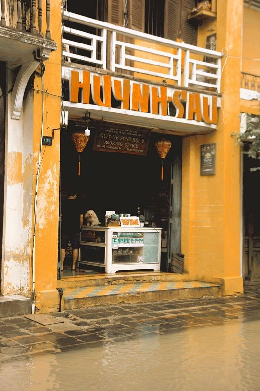 Những câu chuyện đáng yêu đằng sau bộ ảnh “Venice Hội An” thắp sáng những ngày mưa lũ ảnh 11