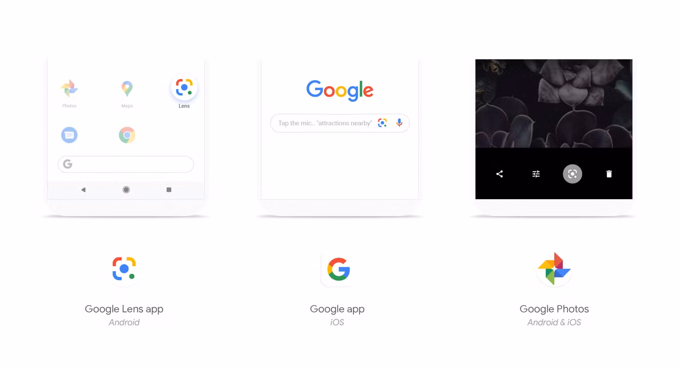 “Mắt thần điện tử” Google Ống kính: “Bảo bối thần kỳ” để soạn đề cương mùa thi ảnh 2