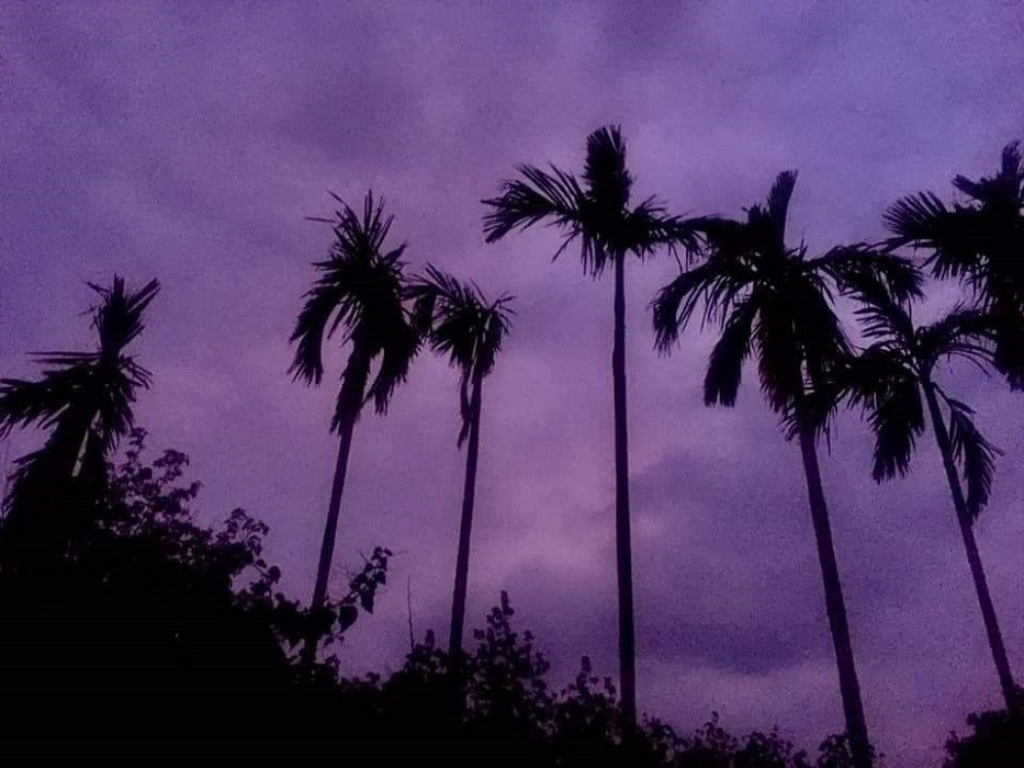 Miền Trung: Bầu trời hoàng hôn chuyển màu tím siêu đẹp nhưng lại khiến bao người lo lắng ảnh 1