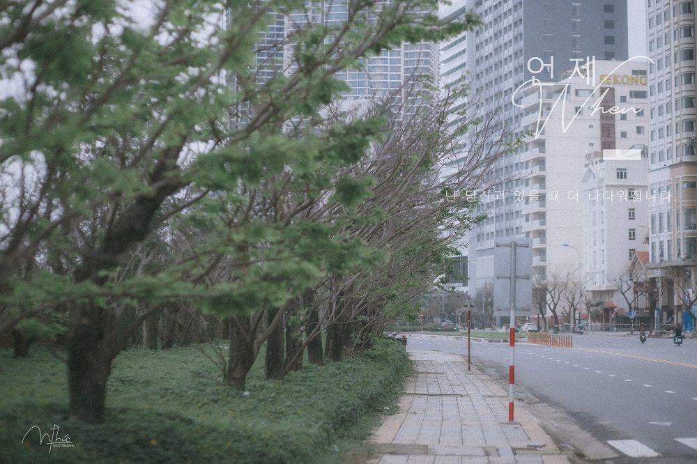 Đà Nẵng mới có con đường mùa Đông chuẩn phim Hàn, check-in bao ảnh nghìn like ảnh 1