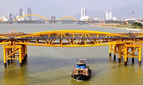 Xót xa “cây Mắt Biếc” trơ trụi sau bão số 5, khắp thành phố Huế ngổn ngang cây đổ ảnh 19