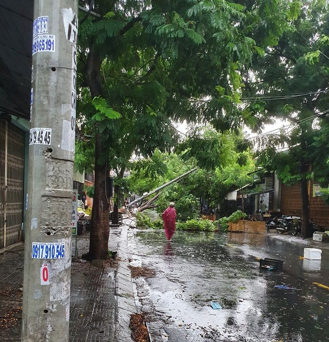 Bão số 5 đổ bộ, người dân Đà Nẵng sửng sốt trước màn “biến hình” của cây cầu lịch sử ảnh 2