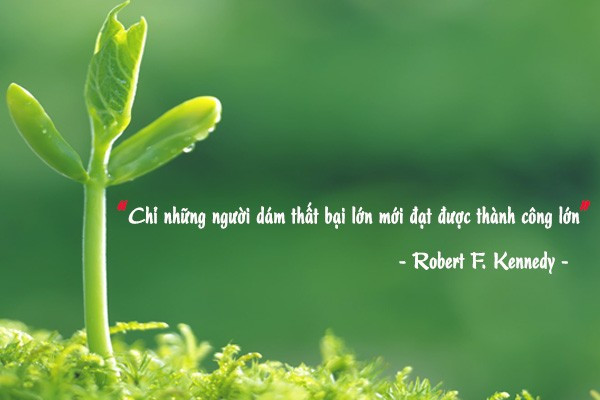 Hậu thất bại là khoảng thời gian thật tuyệt cho những ai biết chấp nhận ảnh 2