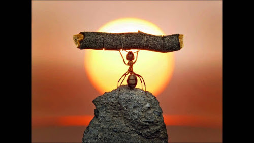 Chiếc xe có động cơ tự động vẫn chạy bền hơn chiếc xe do người khác đẩy, phải không em? ảnh 3