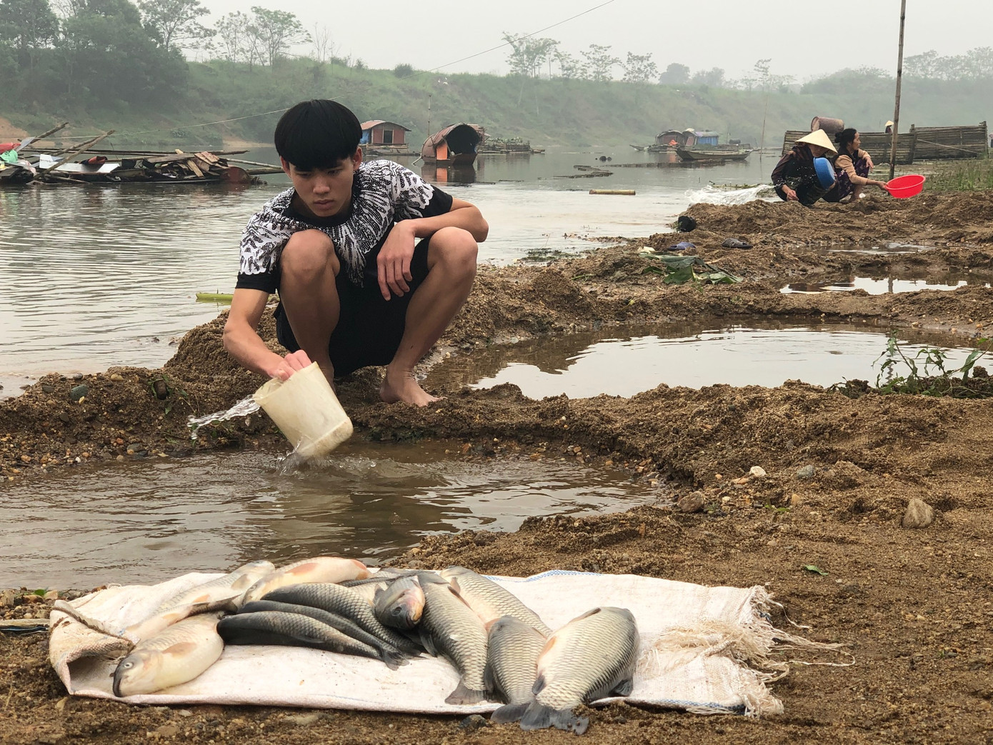 Cá lồng trên sông Chu chết bất thường ảnh 3