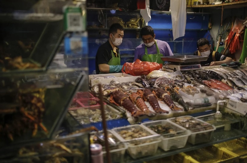 Đại dịch hoành hành nửa năm, WHO mới điều chuyên gia đến Vũ Hán tìm nguồn gốc COVID-19 ảnh 3