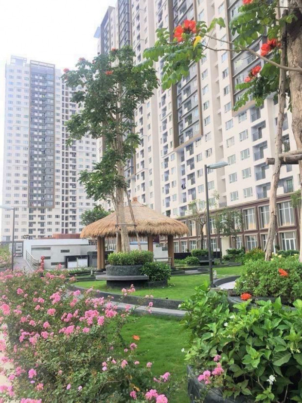 Hỗ trợ gần 300 triệu cho các hộ dân vụ cháy chung cư The Park Residence ảnh 2