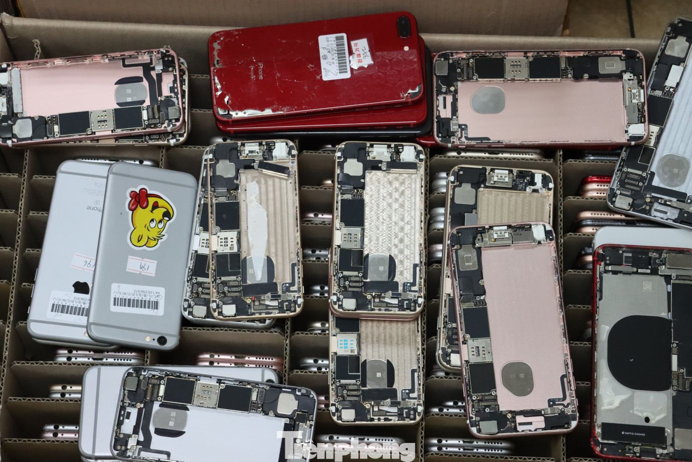 Xé lẻ, nhập lậu hơn 600 điện thoại iPhone từ Hàn Quốc về Nội Bài ảnh 4