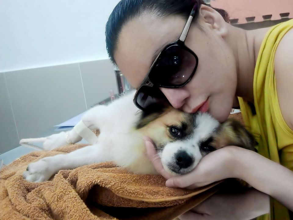 Sau hơn 10 năm ở ẩn, Hồ Quỳnh Hương bây giờ ra sao? ảnh 5