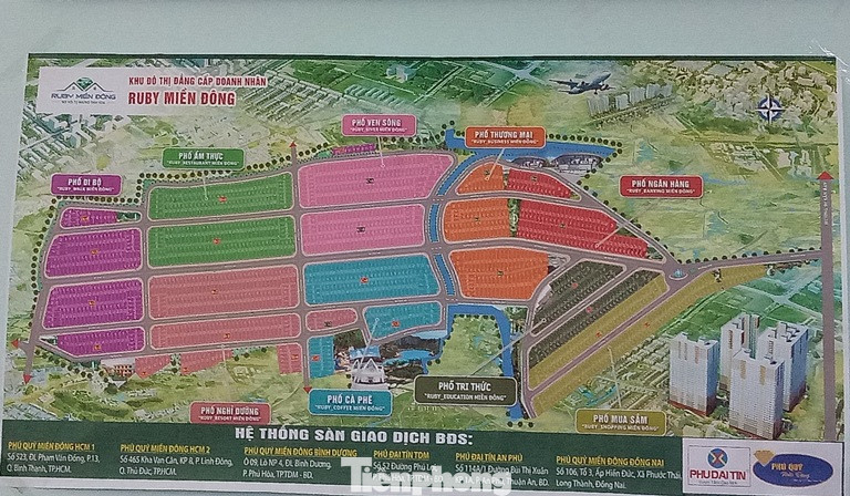 Khởi tố tổng giám đốc 3 công ty bất động sản ở Bình Dương ảnh 2