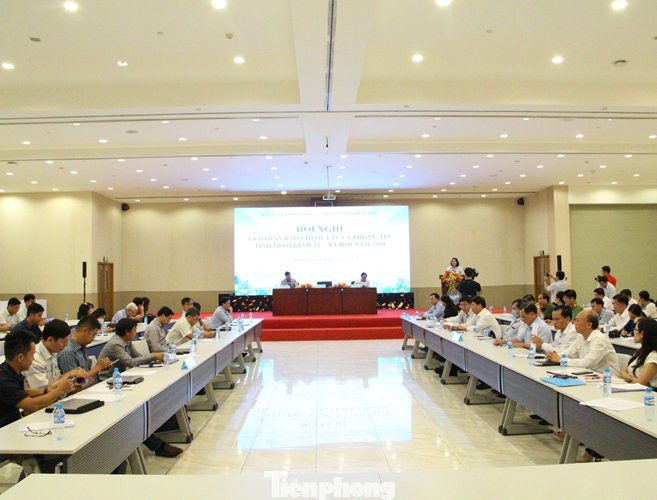 Bình Dương cắt giảm 3 chi cục, 28 phòng và 27 đơn vị sự nghiệp ảnh 1