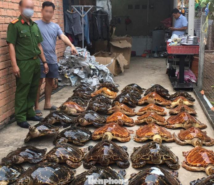 Bắt quả tang vụ buôn bán rùa biển quy mô lớn ảnh 3