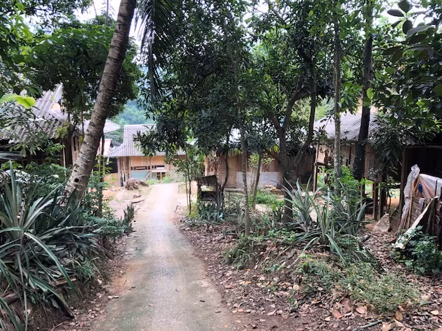 Ảm đạm những ngôi nhà trực chờ bị sông Mã 'nuốt chửng' ảnh 6