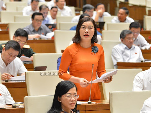 Cái giá cho việc để mất rừng ảnh 1