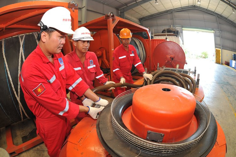 Doanh nghiệp Nhà nước dẫn dắt nền kinh tế số: Hồi sinh và dẫn dắt ảnh 1