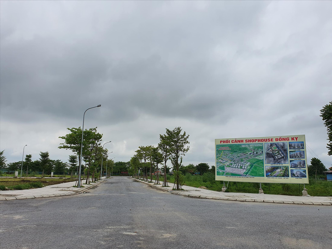 Tin quảng cáo, người mua nhà nhận 'trái đắng' ảnh 1