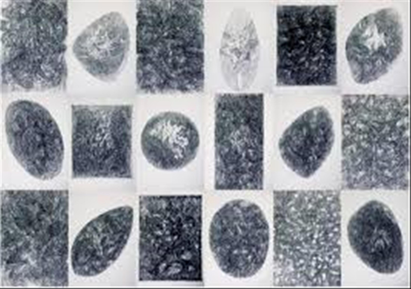 Vụ tranh triển lãm bị mất: Cục Mỹ thuật phải bồi thường ảnh 1