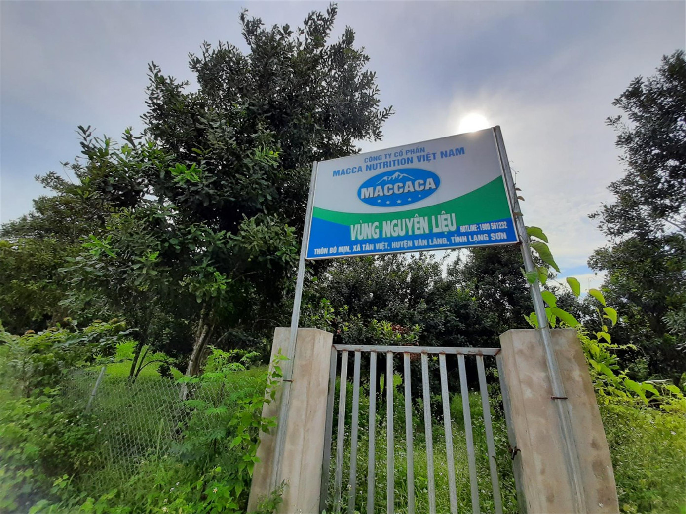 Ma trận gọi vốn đa cấp thời 4.0: Sự thật những vùng nguyên liệu trăm ha ảnh 2