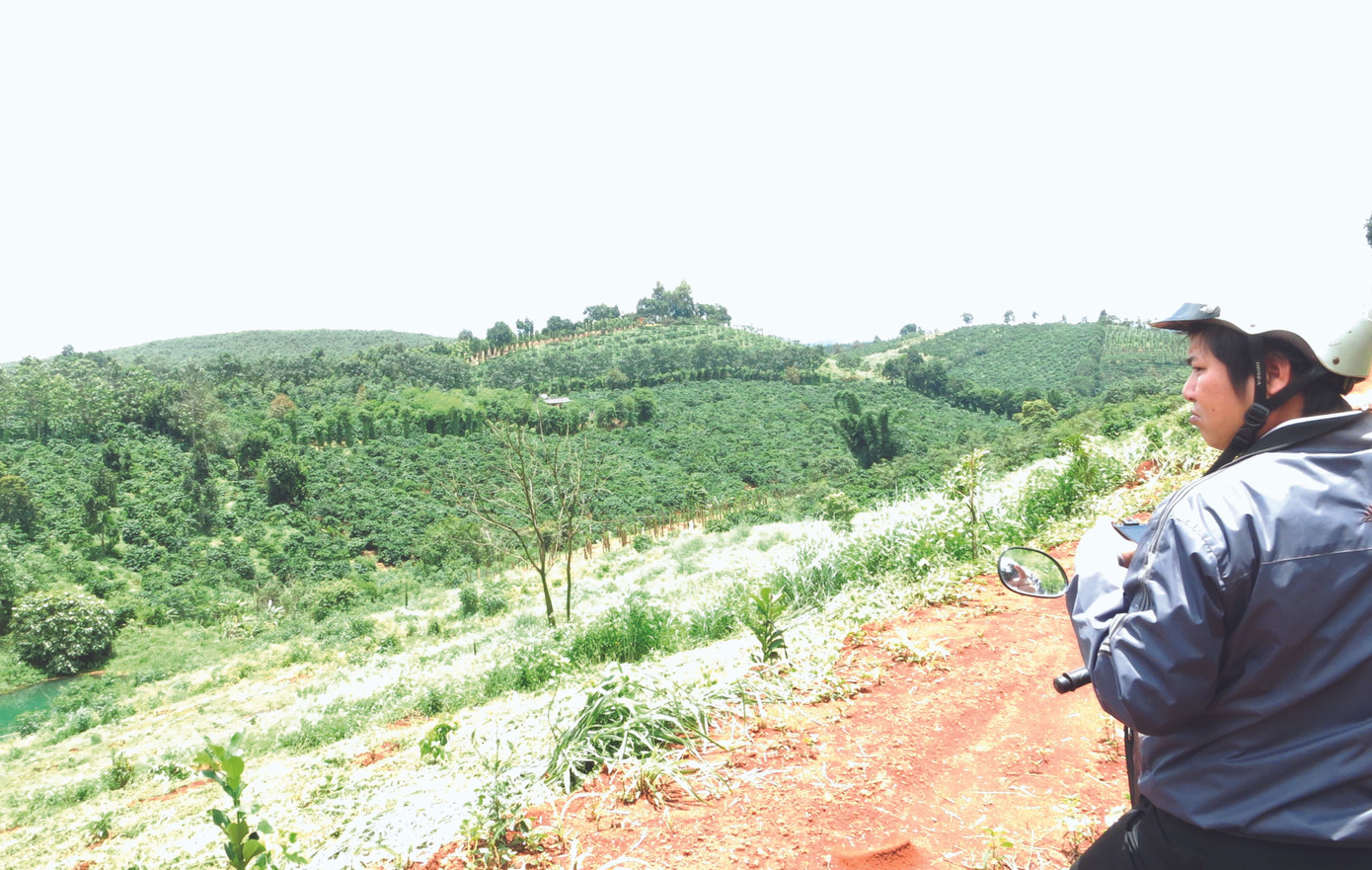 Phanh phui việc biến 'đất công' thành 'đất ông' ảnh 1