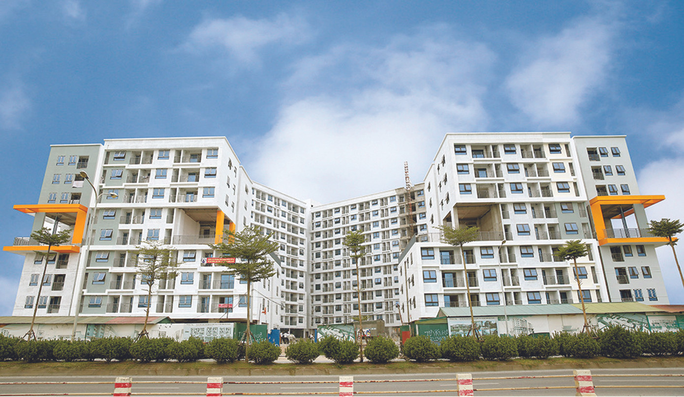 HANDICO 5 năm liên tiếp trong Top doanh nghiệp 10.000 tỷ đồng ảnh 2