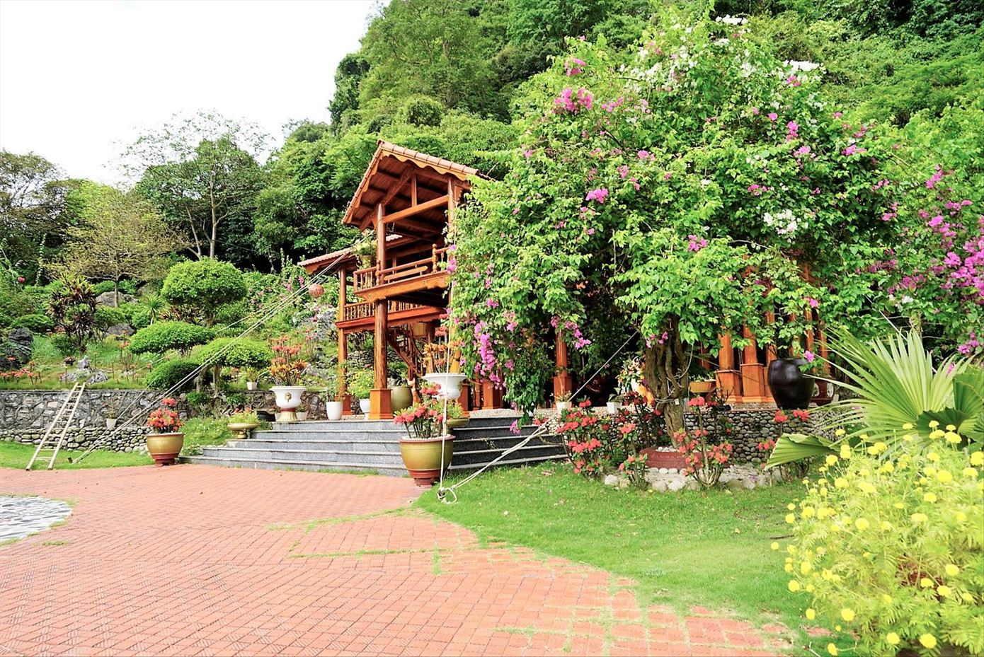 Trùm giang hồ khét tiếng Dũng 'Phương' vừa bị bắt là ai? ảnh 1