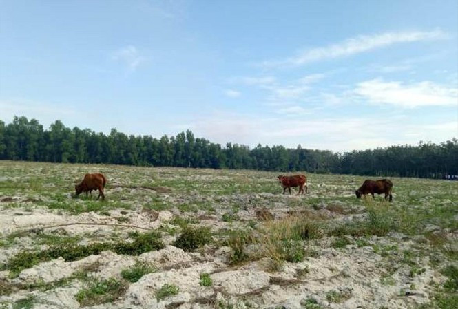 Giao 'đất vàng' không qua đấu giá, đưa dân vào ở 'siêu' dự án chưa nghiệm thu ảnh 5