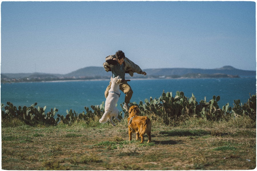 Chàng trai 9x mang 'bạn đồng hành đặc biệt' rong ruổi trên những chuyến đi ảnh 5