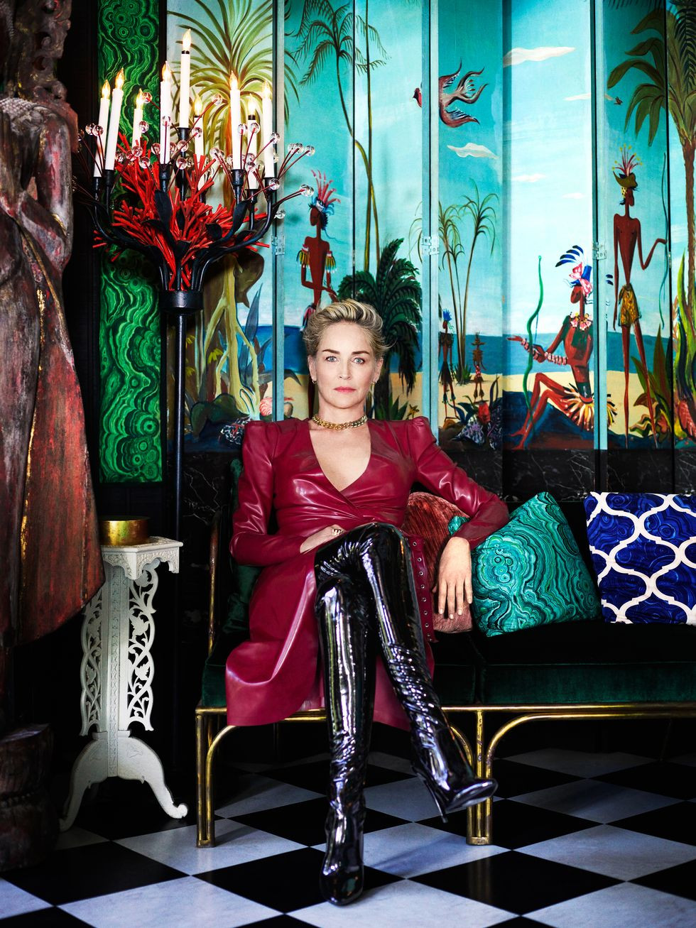 Nhan sắc gợi cảm của mỹ nhân phim 'Bản năng gốc' Sharon Stone ảnh 5