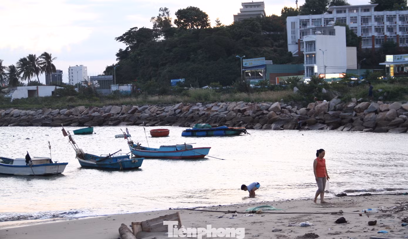 Khánh Hoà yêu cầu thu hồi siêu dự án 33 triệu đô lấn Vịnh Nha Trang ảnh 6