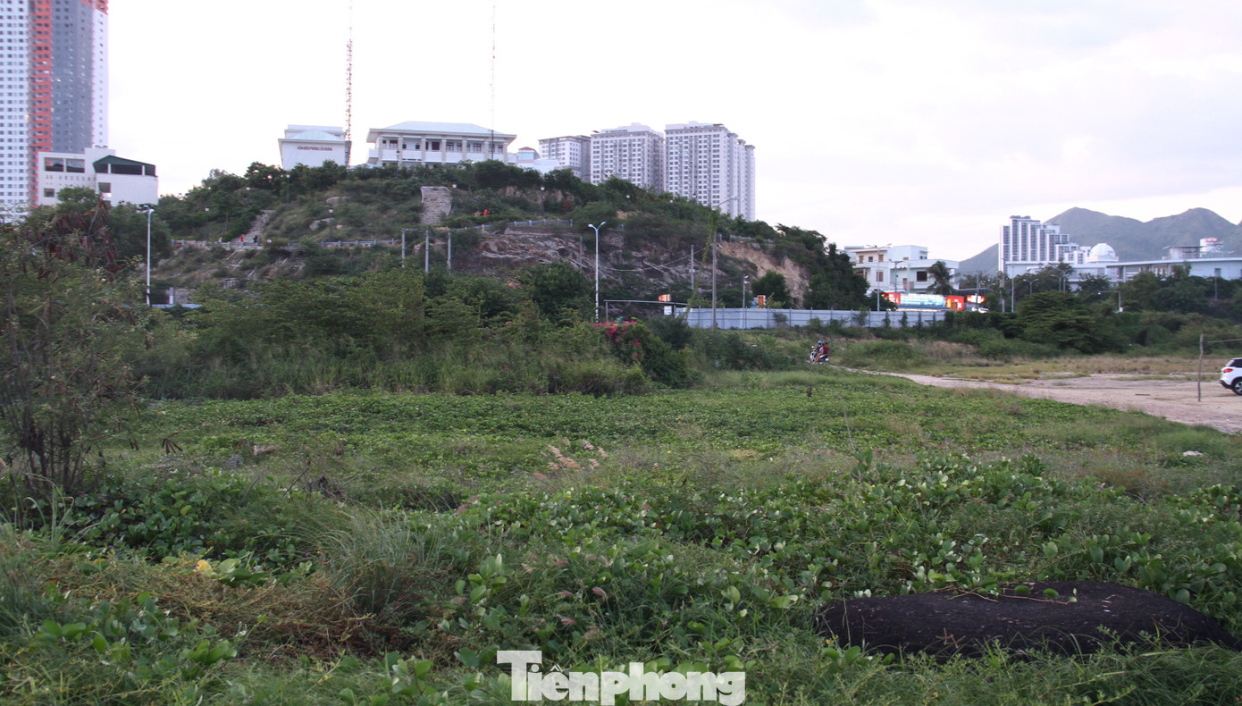 Khánh Hoà yêu cầu thu hồi siêu dự án 33 triệu đô lấn Vịnh Nha Trang ảnh 5