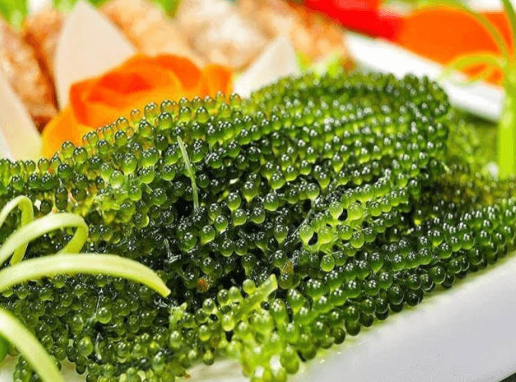 Nhiều nước châu Âu tái áp đặt lệnh phong tỏa, Việt Nam biến động người cách ly ảnh 4