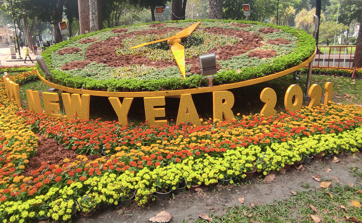 Hình ảnh 'Trâu mặc áo dài' tô điểm sắc xuân Tân Sửu ở TP HCM ảnh 7