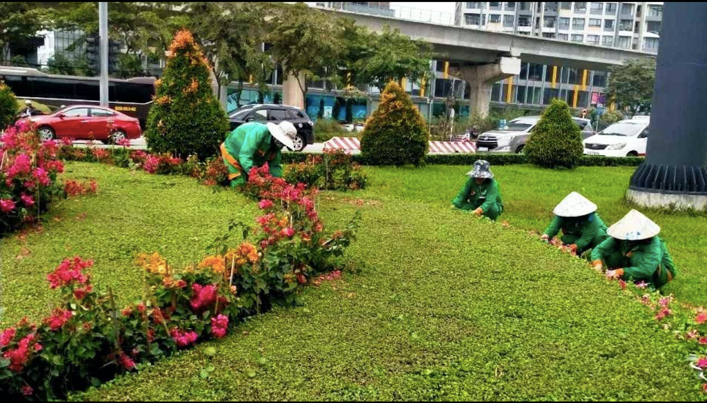 Hình ảnh 'Trâu mặc áo dài' tô điểm sắc xuân Tân Sửu ở TP HCM ảnh 5