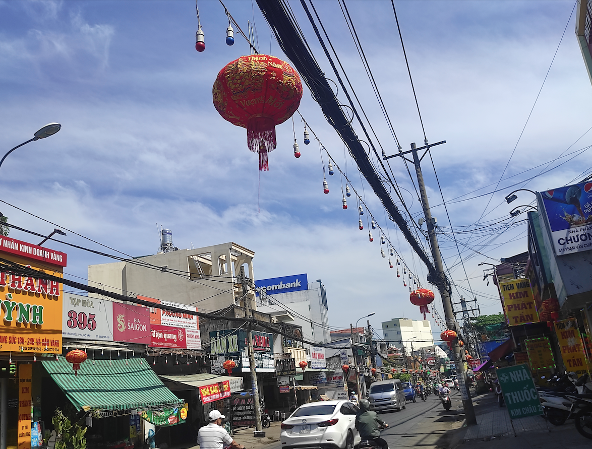 Hình ảnh 'Trâu mặc áo dài' tô điểm sắc xuân Tân Sửu ở TP HCM ảnh 6