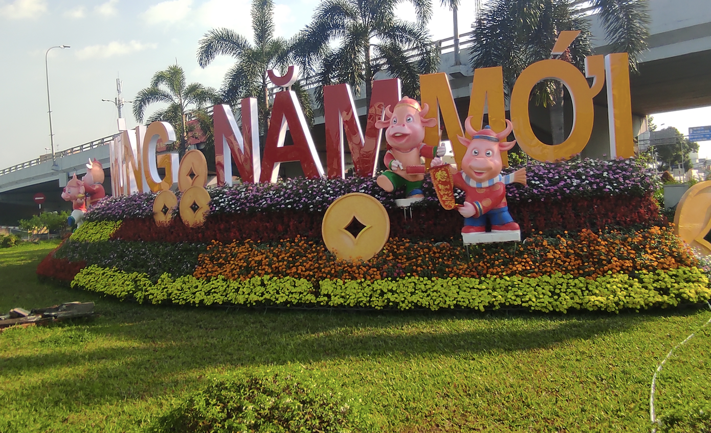 Hình ảnh 'Trâu mặc áo dài' tô điểm sắc xuân Tân Sửu ở TP HCM ảnh 2