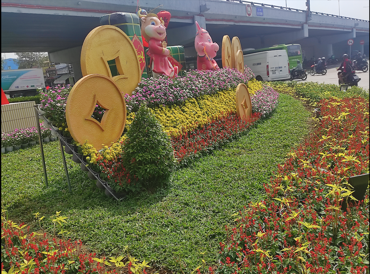 Hình ảnh 'Trâu mặc áo dài' tô điểm sắc xuân Tân Sửu ở TP HCM ảnh 4