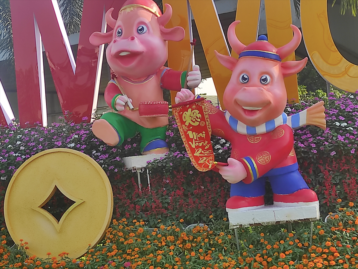 Hình ảnh 'Trâu mặc áo dài' tô điểm sắc xuân Tân Sửu ở TP HCM ảnh 1