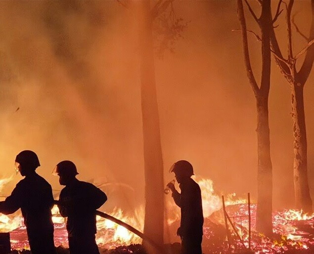 Vườn cây rộng 10.000m2 ở Bình Phước bị lửa thiêu rụi trong đêm ảnh 1