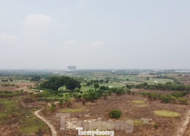 Vì sao nguyên Cục trưởng Thuế Bình Dương và thuộc cấp bị bắt? ảnh 6