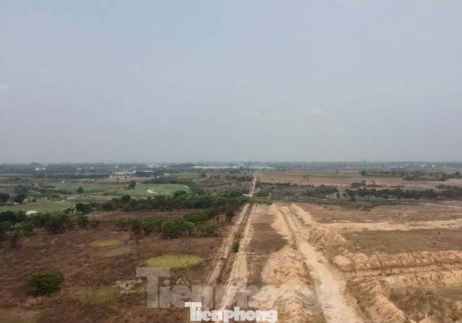 Vì sao nguyên Cục trưởng Thuế Bình Dương và thuộc cấp bị bắt? ảnh 3