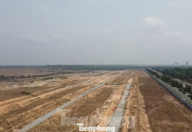 Vì sao nguyên Cục trưởng Thuế Bình Dương và thuộc cấp bị bắt? ảnh 1