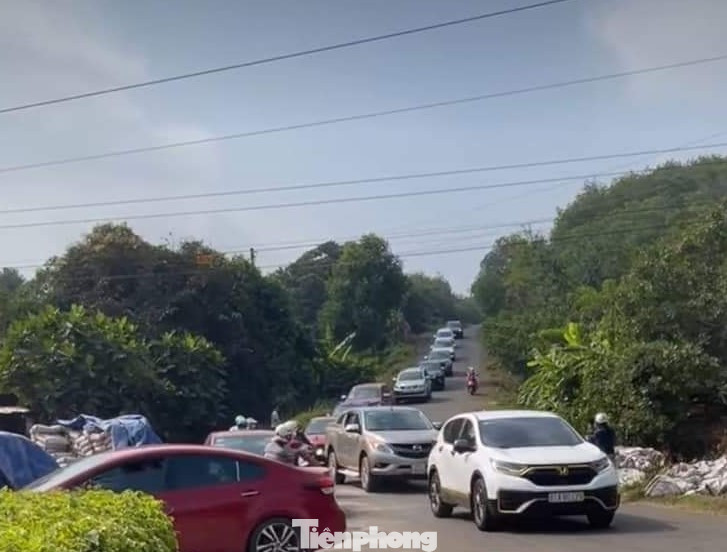 Sân bay còn nằm trên giấy, cò đất thổi giá tạo sốt ảo ảnh 2