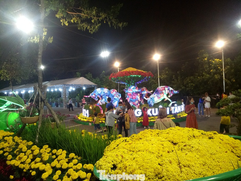 Không về quê ăn Tết, công nhân tại Bình Dương đến Hội hoa ‘check in’ ảnh 4