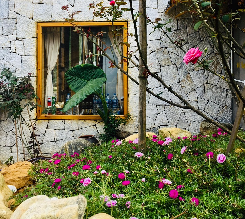 Đẹp ngỡ ngàng 'ngôi nhà gỗ săn mây' trên đỉnh núi ở SaPa ảnh 14