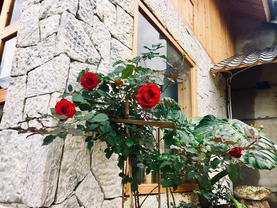 Đẹp ngỡ ngàng 'ngôi nhà gỗ săn mây' trên đỉnh núi ở SaPa ảnh 13