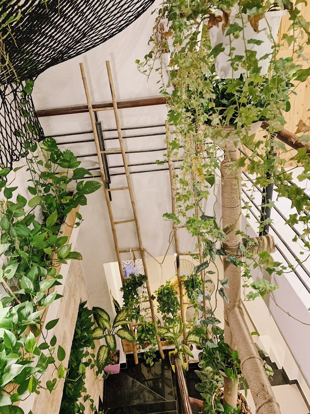 Ngôi nhà chỉ 60m2 nhưng có cả 'biển xanh' lẫn 'rừng nhiệt đới' ảnh 14