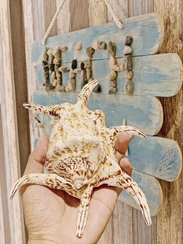 Ngôi nhà chỉ 60m2 nhưng có cả 'biển xanh' lẫn 'rừng nhiệt đới' ảnh 13